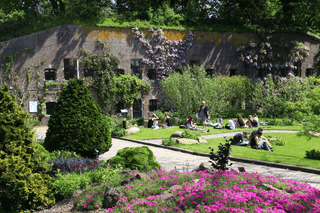 Botanical Gardens Picnic